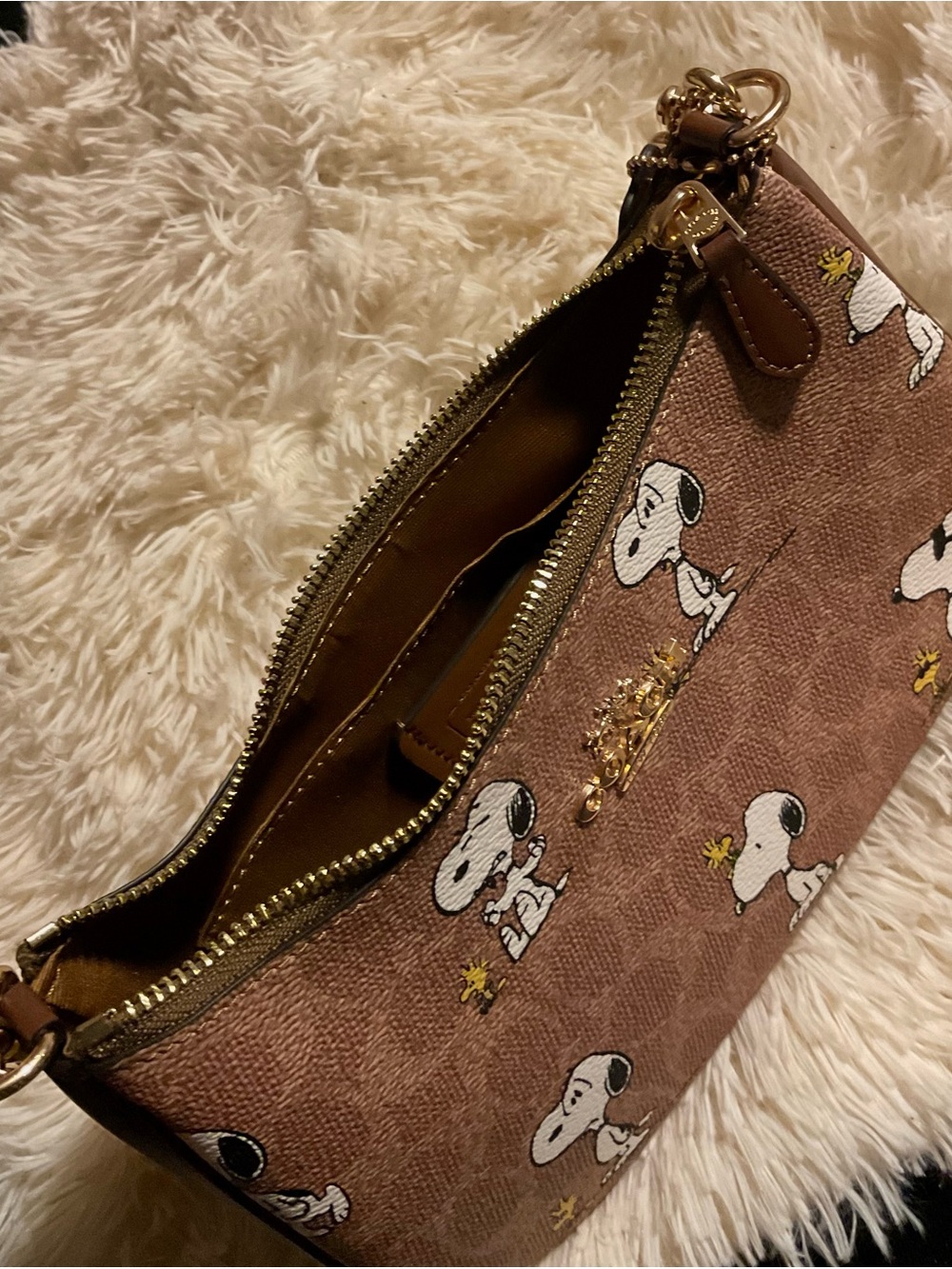 Coach Brown Snoopy & Woodstock Zip Wristlet with Gold Hardware